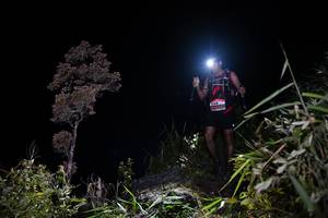 BIB: 
                            <button type="button" onclick="openModal(13558203)" class="btn btn-primary btn-sm float-right btn-popup" data-toggle="modal" data-target=".modal-high-quality">
                        <i class="fas fa-shopping-cart"></i> Add to Cart
                    </button>
                                            <button type="button" onclick="isThisMe(13558203, true)" class="btn btn-success btn-sm float-right btn-popup btn-isme hidden" data-toggle="tooltip" data-placement="bottom" title="นี่คือรูปของคุณใช่ไหม คลิกที่นี่เพื่อเอาเข้าอัลบั้ม">
                        <i class="fas fa-plus"></i> Add to album
                    </button>
                    <button type="button" onclick="isThisMe(13558203, false)" class="btn btn-warning btn-sm float-right btn-popup btn-isnotme hidden">
                        <i class="fas fa-ban"></i> Remove from album
                    </button>